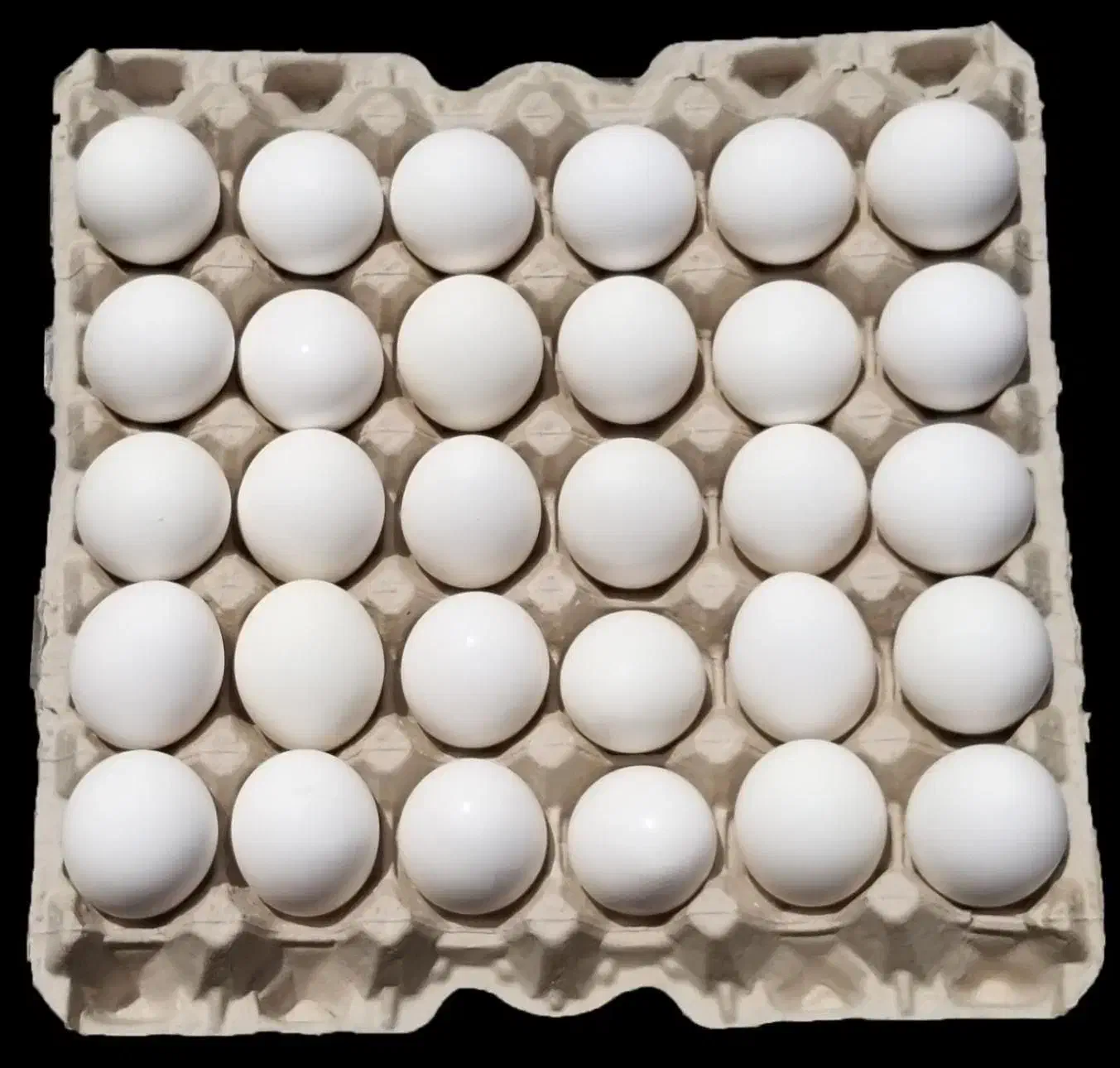 تخم مرغ 155ت بازارچه غدیر|خوردنی و آشامیدنی|رودهن, |دیوار
