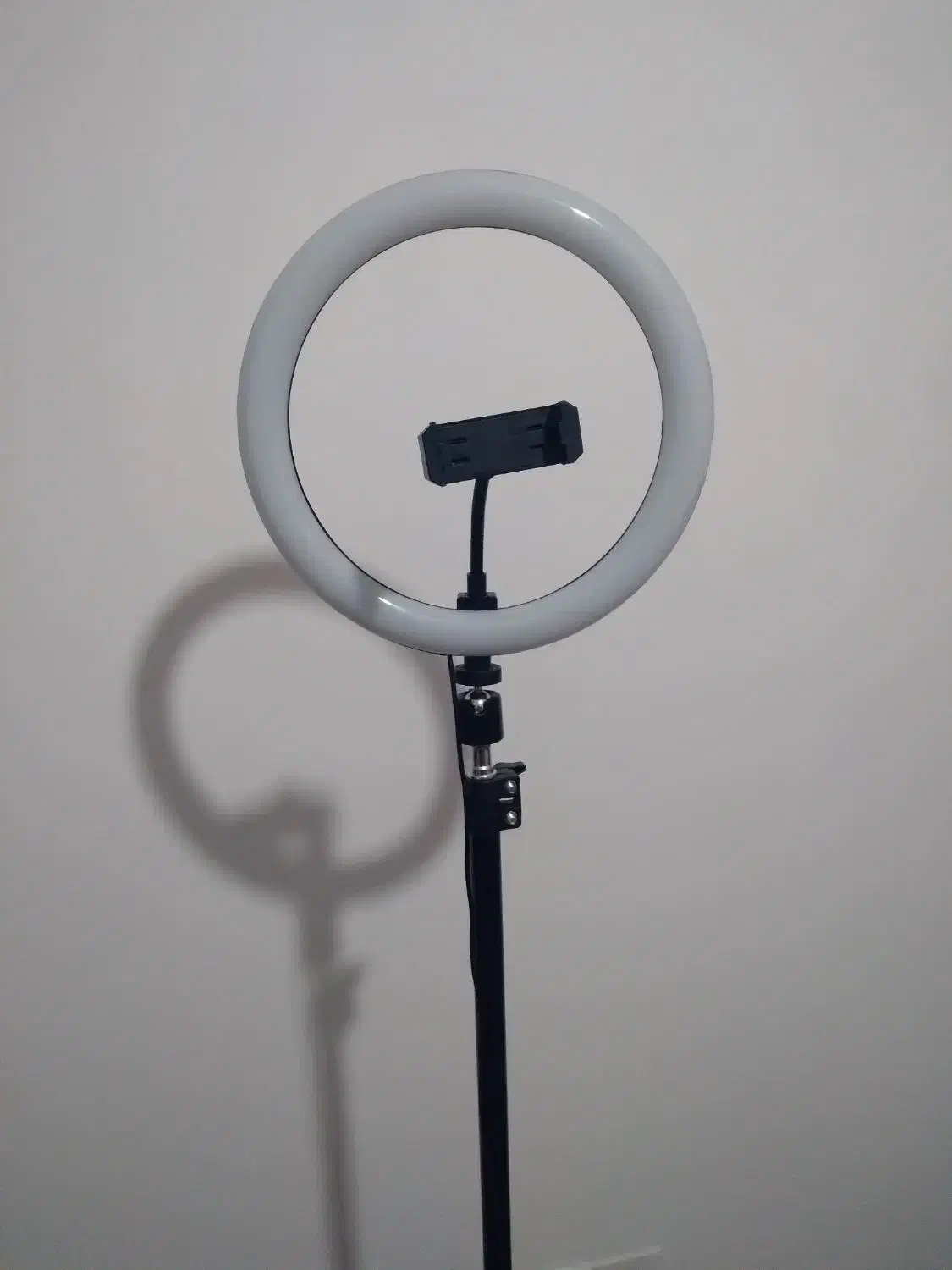 رینگ لایت|لوازم جانبی موبایل و تبلت|صدرا-فارس, فاز ۱|دیوار