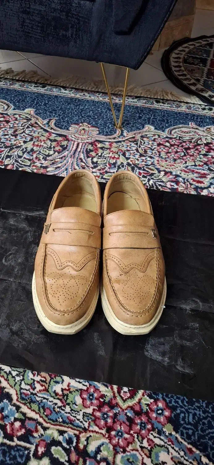 کفش مردانه|کیف، کفش، کمربند|کرمان, |دیوار