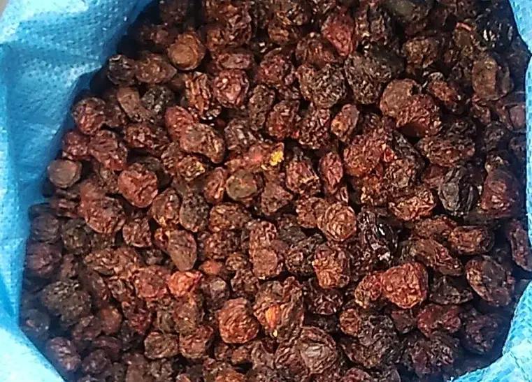 الو خورشتی|خوردنی و آشامیدنی|قم, ولیعصر|دیوار