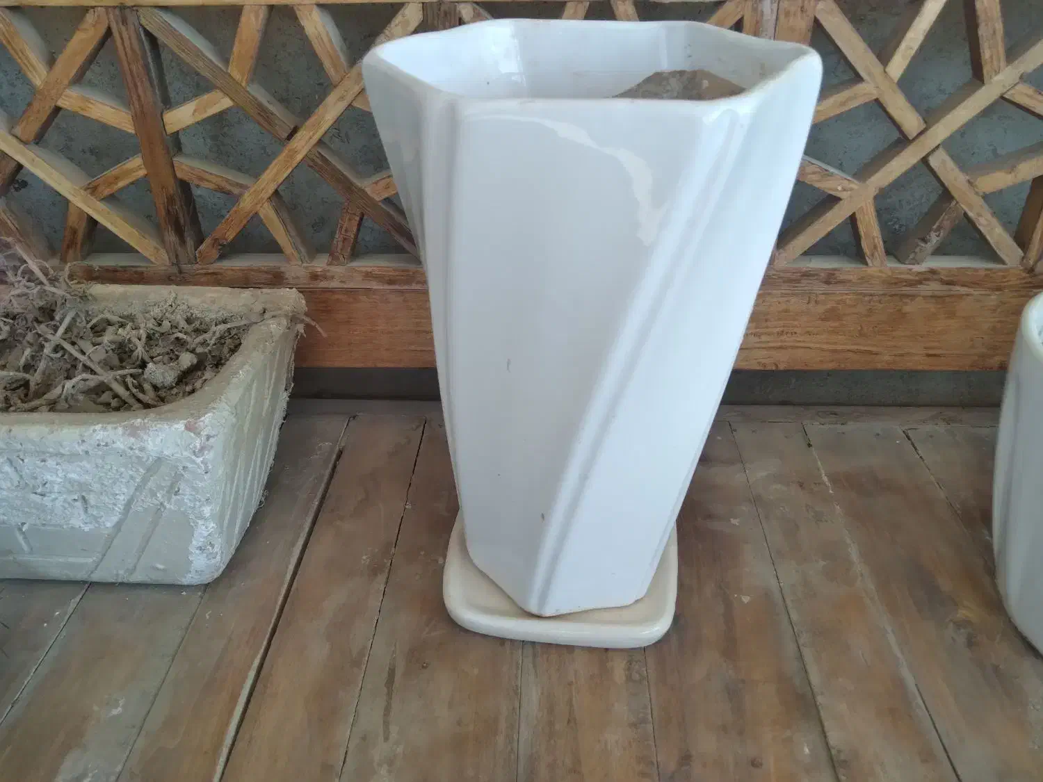 گلدون و پایه گلدون|گل و گیاه طبیعی|بندر ماهشهر, |دیوار