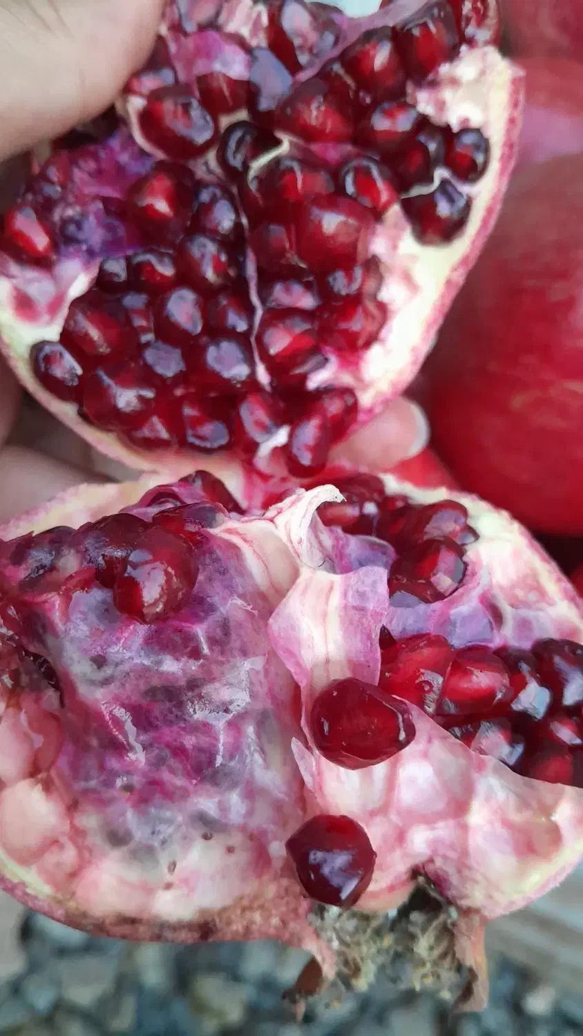 فروش انار ترکیده درجه یک دون مشکی|خوردنی و آشامیدنی|ارسنجان, |دیوار