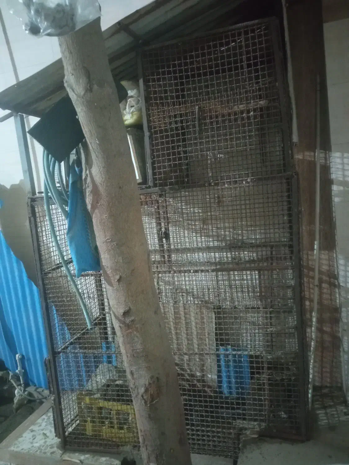 قفس آهنی|لوازم جانبی حیوانات|بند زرک, |دیوار