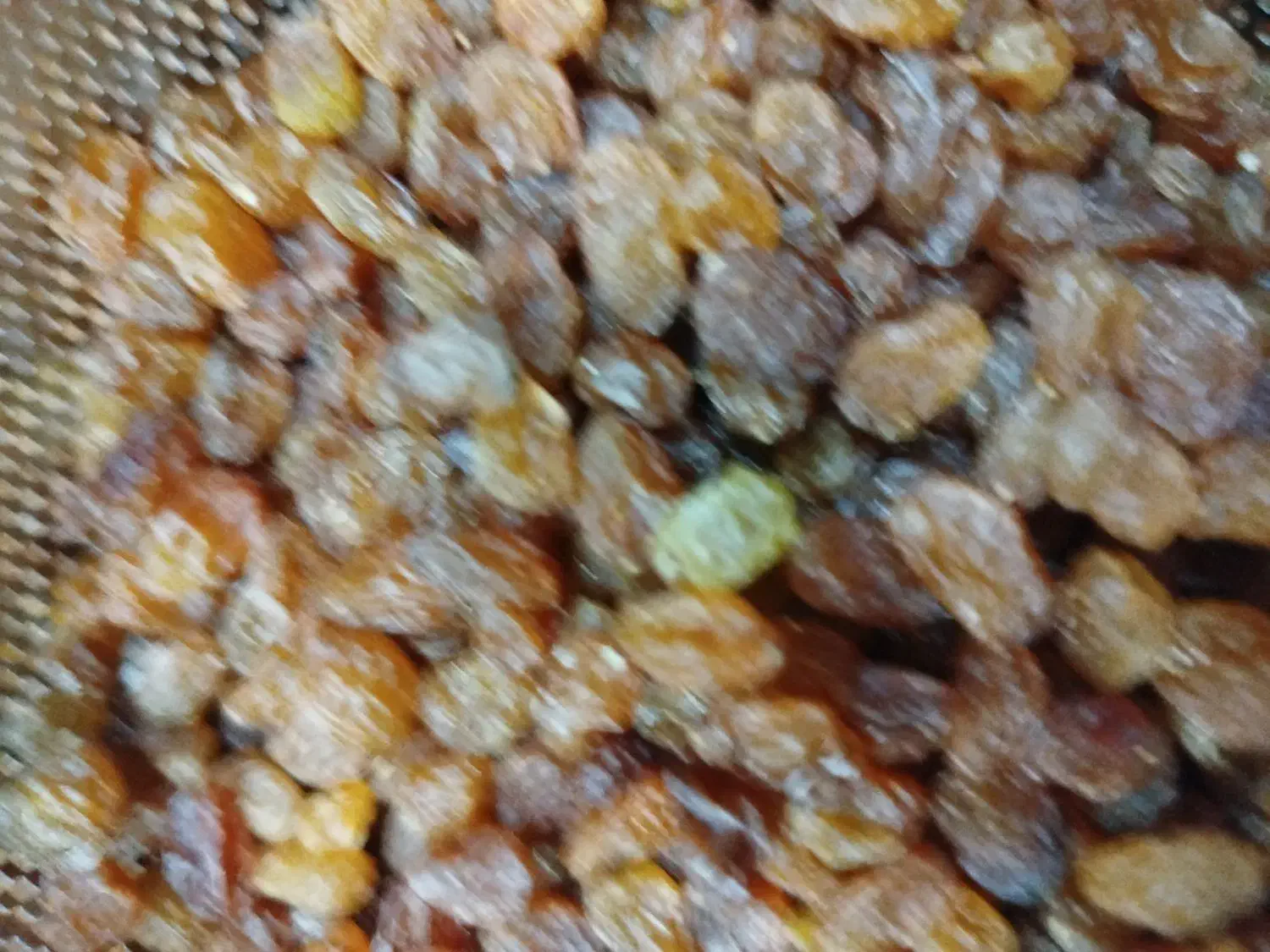 کشمش بی دانه تاکستان درجه یک|خوردنی و آشامیدنی|فولادشهر, مسکن مهر فولادشهر|دیوار