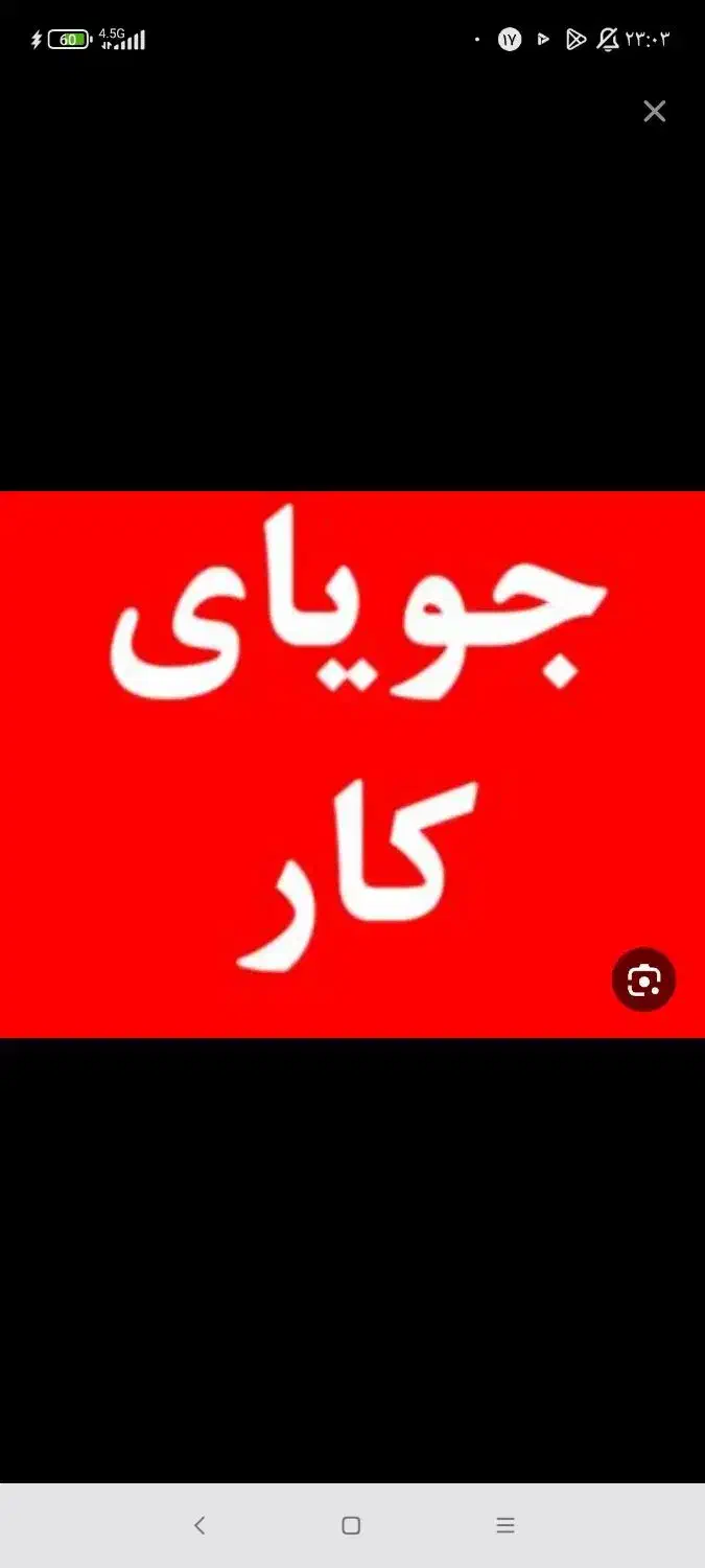 جویای کار برای خانم|فعالیت داوطلبانه|یزد, |دیوار