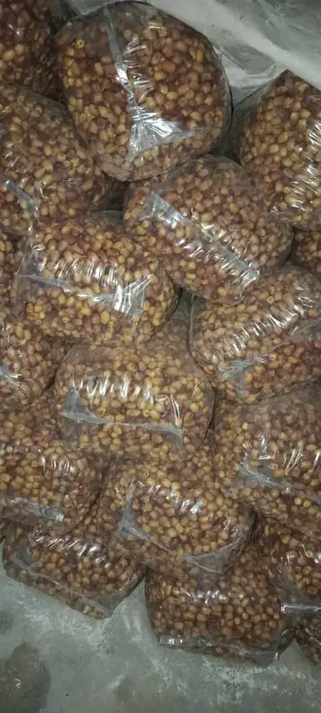 فروش قصب|خوردنی و آشامیدنی|فراشبند, |دیوار