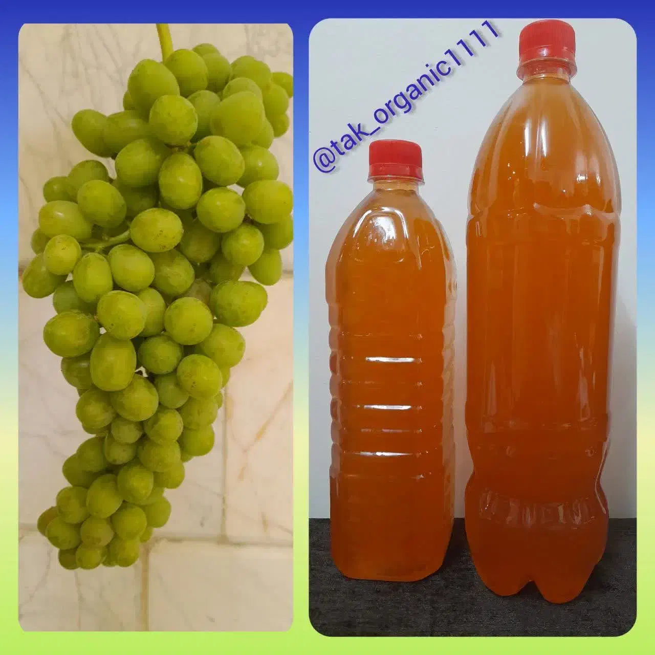 محصولات خونگی و ارگانیک به شرط ضمانت مرجوعی***|خوردنی و آشامیدنی|تهران, فرزانه|دیوار