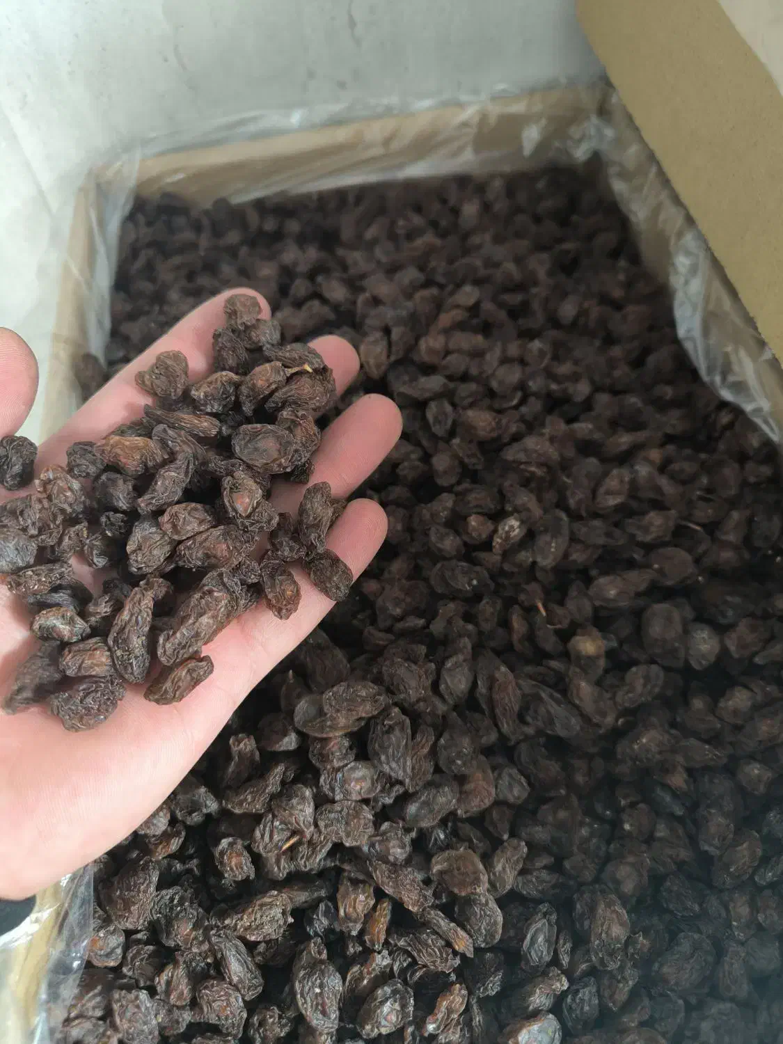 مویز|خوردنی و آشامیدنی|ری, ملک‌آباد|دیوار