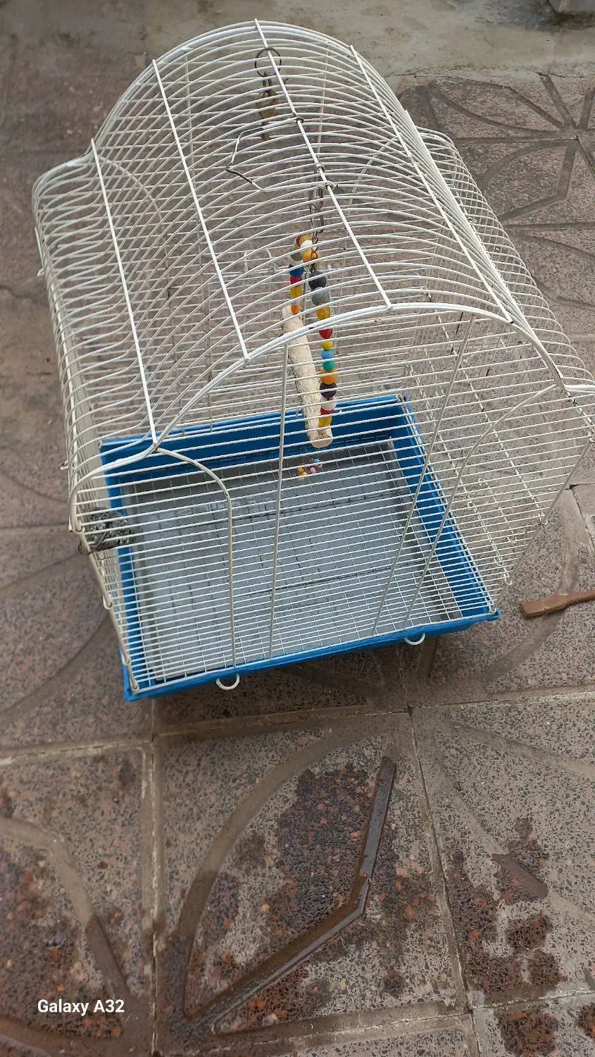 قفس سفید رنگ|لوازم جانبی حیوانات|پارسآباد, |دیوار