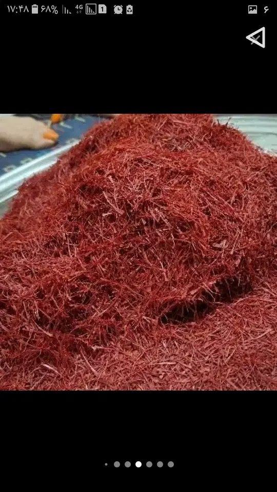 سوغات خراسان|عمدهفروشی|قم, یخچال قاضی|دیوار