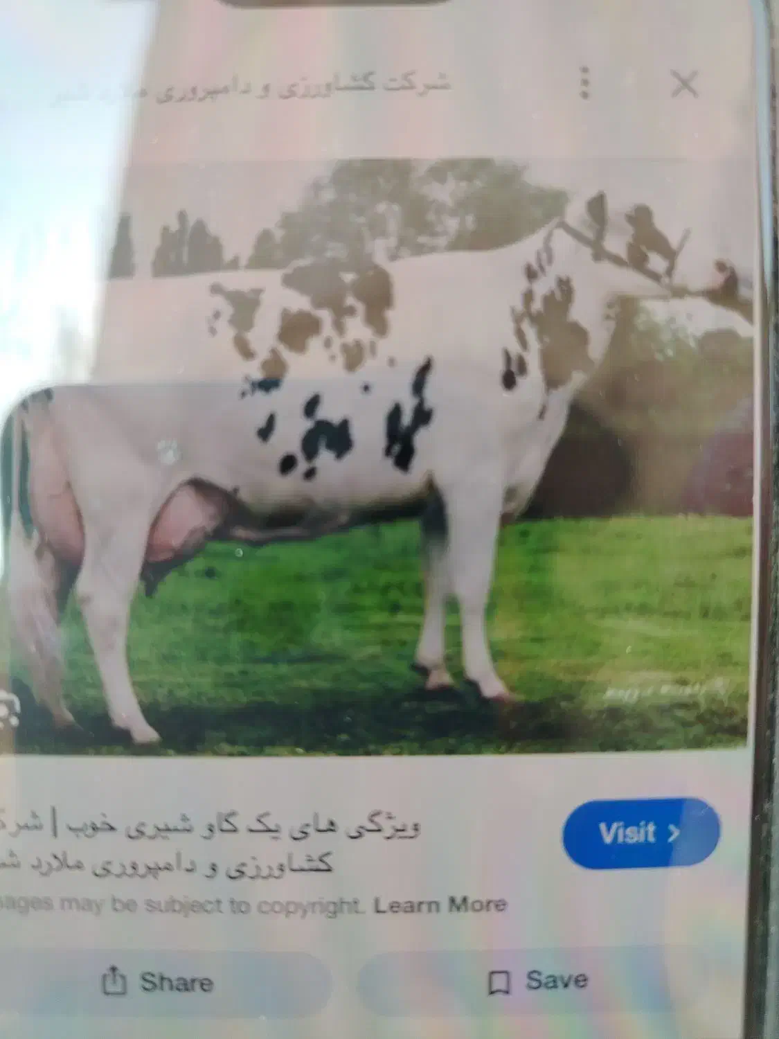 کارگر گاوداری|استخدام صنعتی، فنی، مهندسی|زرقان, |دیوار