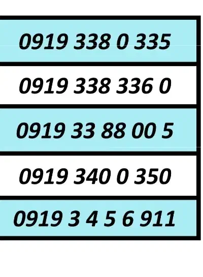 0919|سیم‌کارت|اسلام‌شهر, زرافشان|دیوار