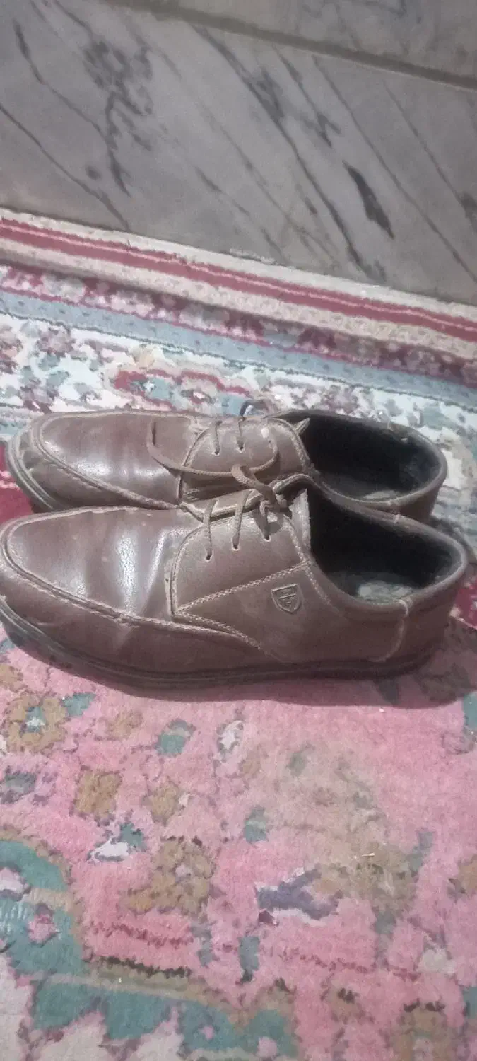 دو جفت کفش مردانه یک جفت زنانه|کیف، کفش، کمربند|تربت‌حیدریه, داروپخش|دیوار