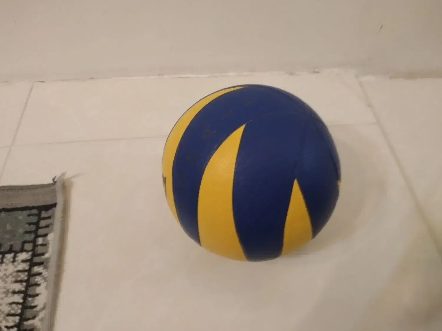 توپ والیبال نو|ورزش‌های توپی|نیشابور, بنیاد شهید|دیوار