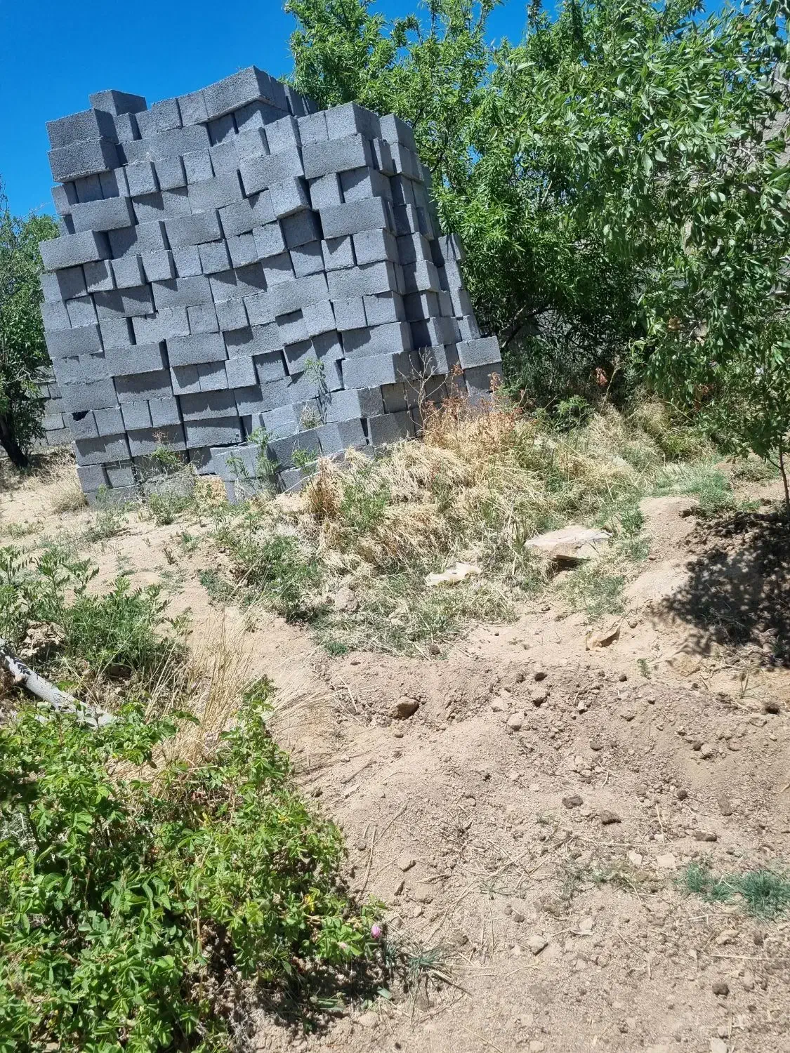 فروش زمین نیر|فروش زمین و ملک کلنگی|نیر (یزد), |دیوار