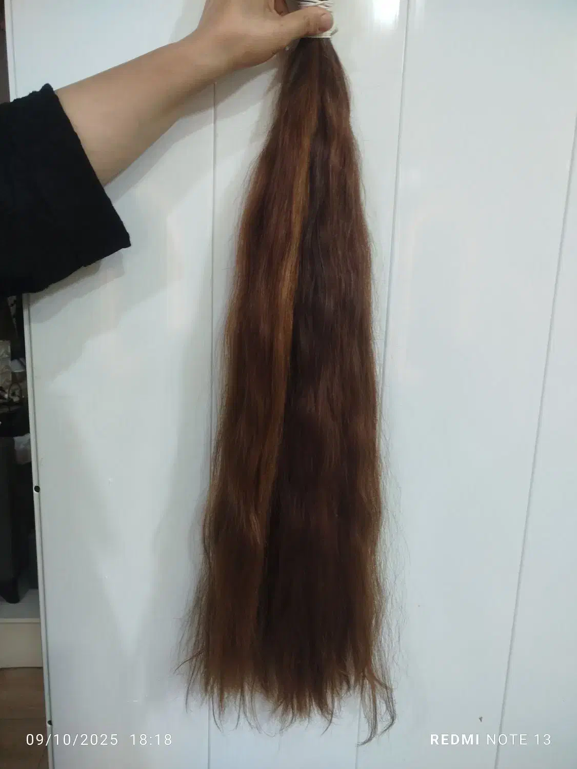 مو بانوان عزیز بوشهری|آرایشی، بهداشتی، درمانی|بوشهر, |دیوار