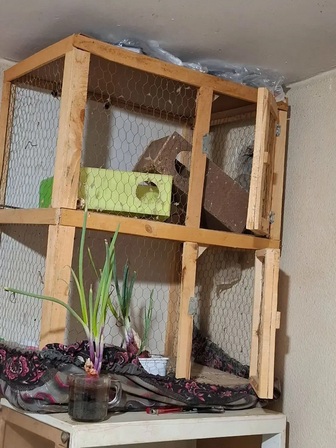 یک عددقفس چوب سالم سالم|لوازم جانبی حیوانات|شاهینشهر, گرگاب|دیوار