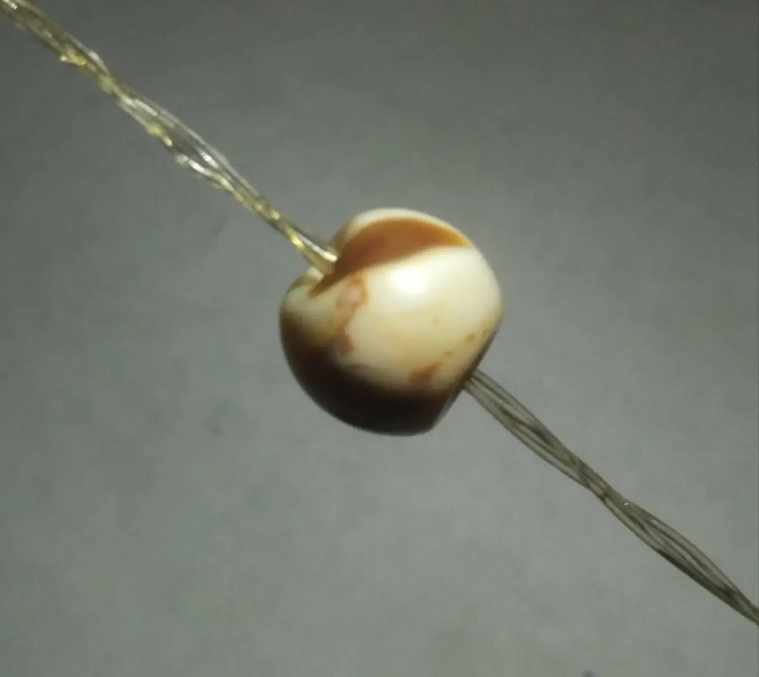 مهره  زنده|کلکسیون اشیاء عتیقه|جیرفت, |دیوار