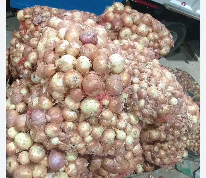 پیاز|عمدهفروشی|شاهینشهر, حاجی آباد|دیوار