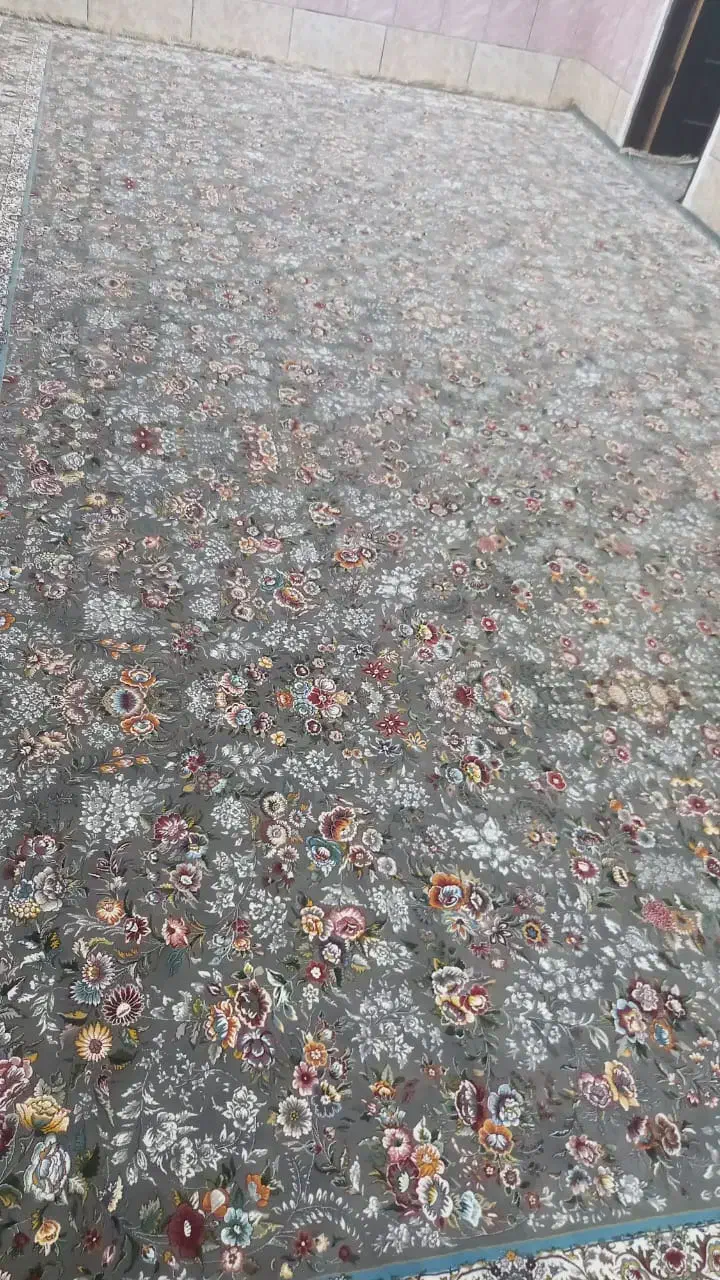 فرش ۲۶متری|فرش|توکهور, |دیوار