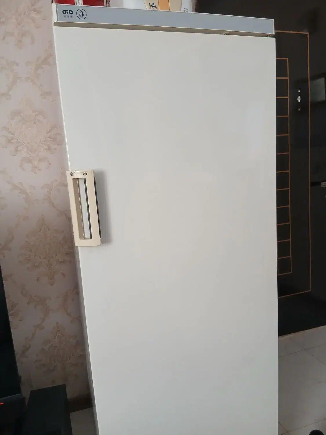 یخچال|یخچال و فریزر|مشهد, مشکینی (شهرک غرب)|دیوار