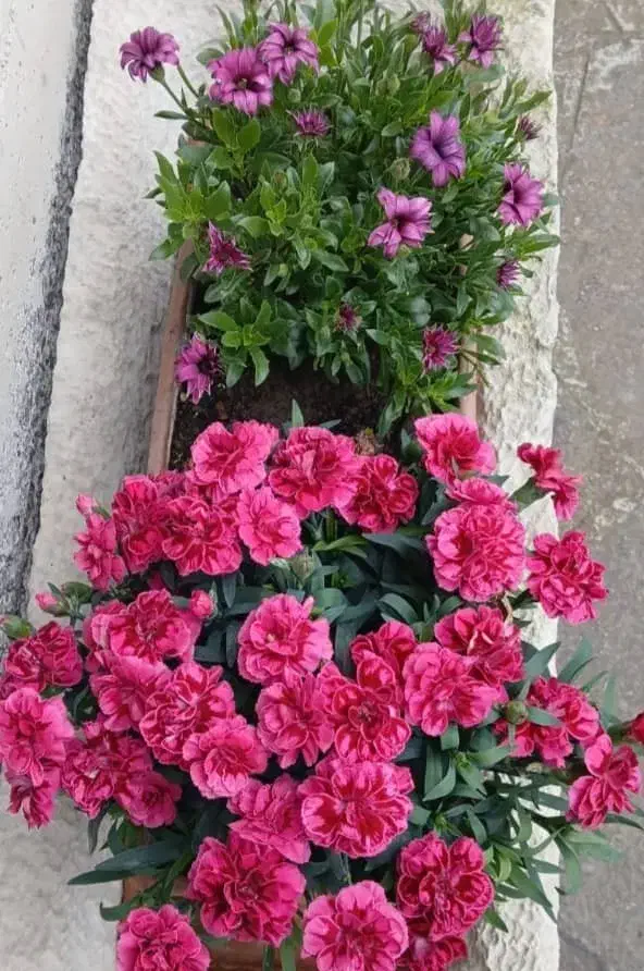 خسته|فعالیت داوطلبانه|حمیدیه, |دیوار