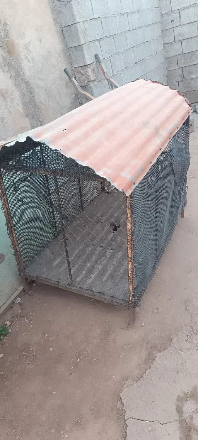 قفس|لوازم جانبی حیوانات|مسجد سلیمان, |دیوار