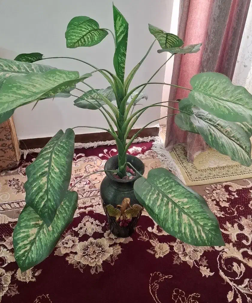 درختچه|گل مصنوعی|خرمشهر, |دیوار