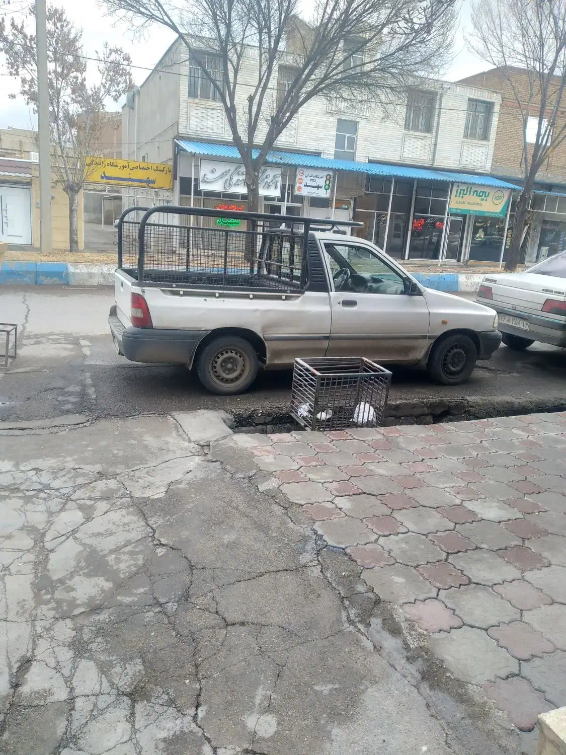 حمل نقل|خدمات حمل و نقل|شاهین دژ, |دیوار