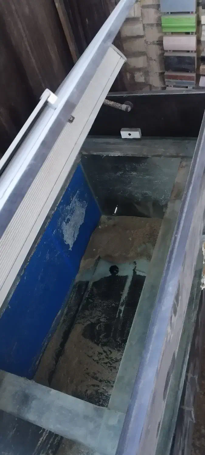 اکواریوم|ماهی|شهرضا, |دیوار