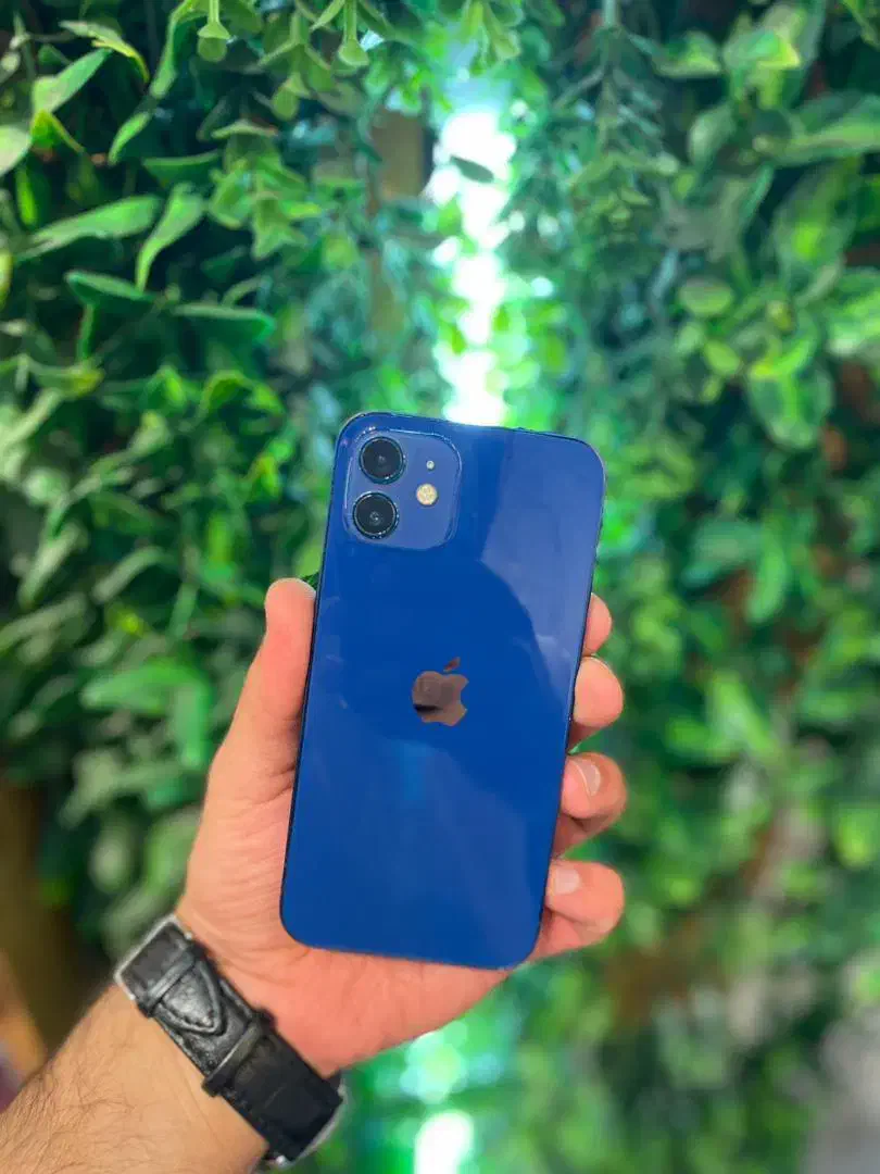 آیفون ۱۲ نرمال|موبایل|تهران, شهرک غرب|دیوار