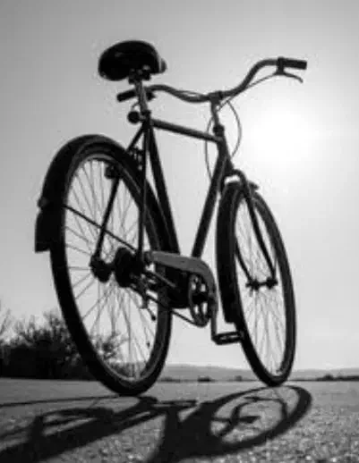 دوچرخه ۲۶|دوچرخه، اسکیت، اسکوتر|مریوان, |دیوار