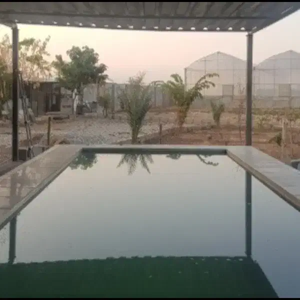 گلخانه اماده کشت و مجهز به امکانات ویژه در شوشتر|فروش دفتر صنعتی، کشاورزی، تجاری|اهواز, کوروش|دیوار