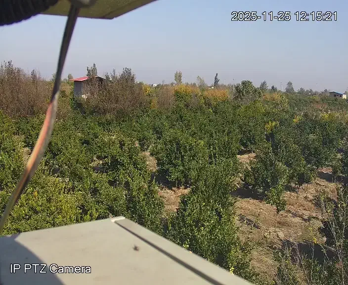 کارگر باغبانی|خدمات باغبانی و درختکاری|ساری, |دیوار