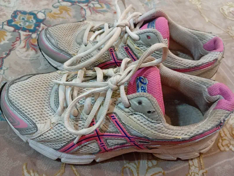 زیادنپوشیدمشون|کیف، کفش، کمربند|دوگنبدان, |دیوار