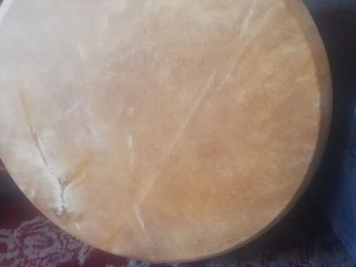 فروش فوری ضرب وتیمپو پوست طبیعی|سازهای سنتی|اصفهان, آفاران|دیوار