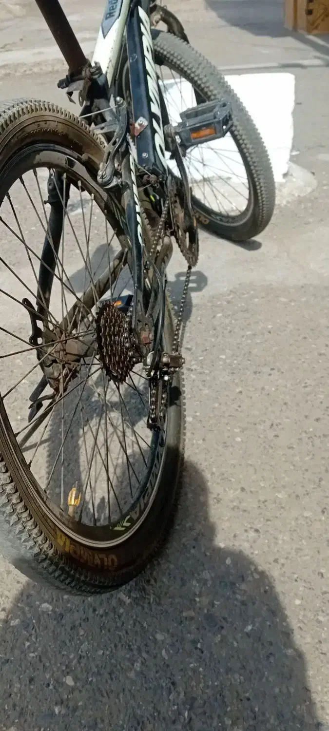 دوچرخه|دوچرخه، اسکیت، اسکوتر|رشت, شهرک آیت الله منتظری|دیوار