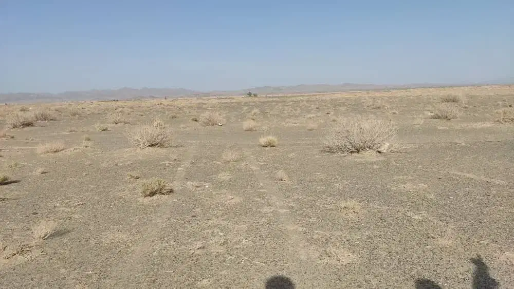 زمین چمگ چهارا سمت راست|فروش زمین و ملک کلنگی|زاهدان, |دیوار