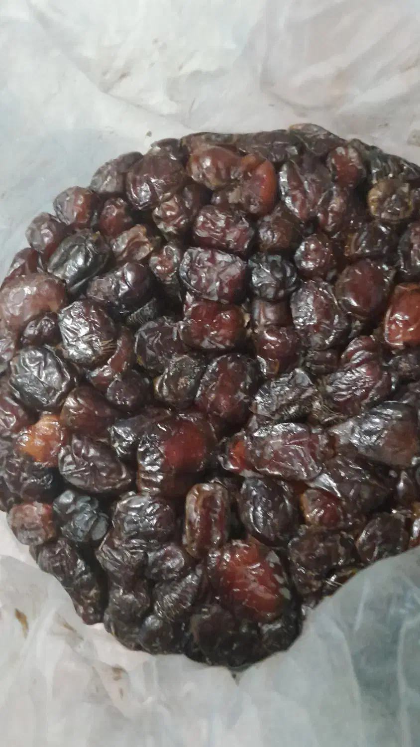 فروش خرمای خنیزی و مرداسنگ|خوردنی و آشامیدنی|رودان, |دیوار