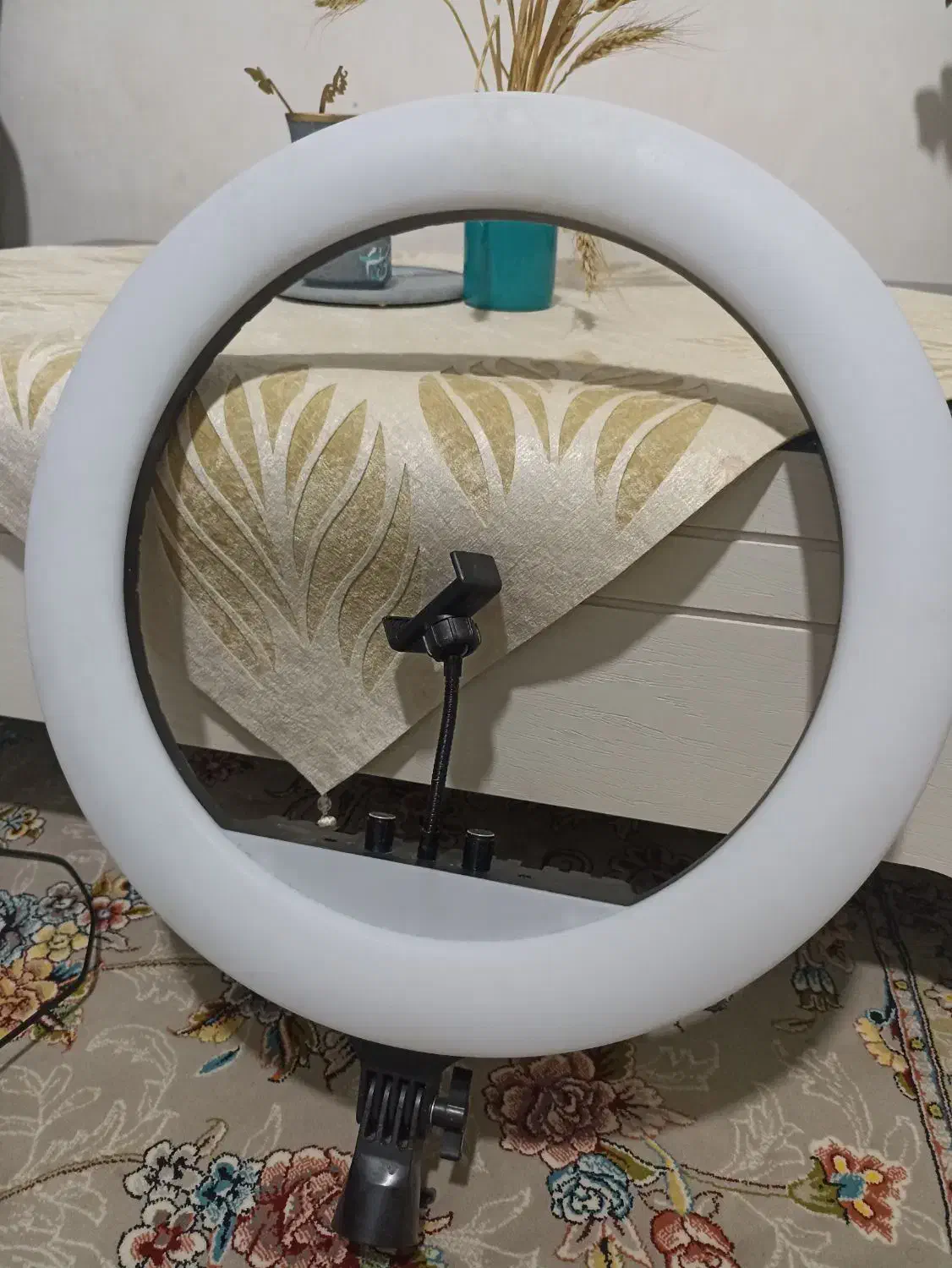 رینگ لایت|دوربین عکاسی و فیلم‌برداری|رامهرمز, |دیوار