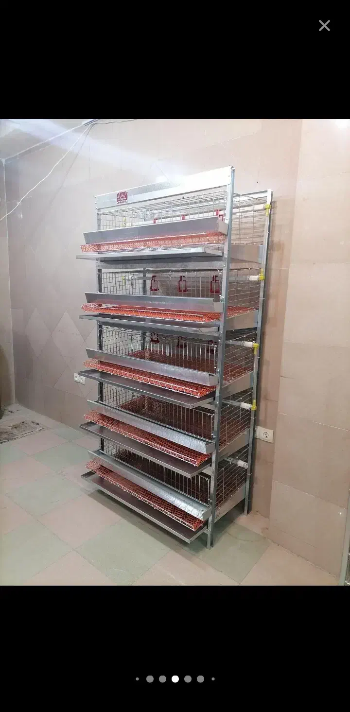 پرداخت در ۲ قستقفس مخصوص مرغ  یک عدد موجود است|لوازم جانبی حیوانات|اصفهان, شهرک کاوه|دیوار