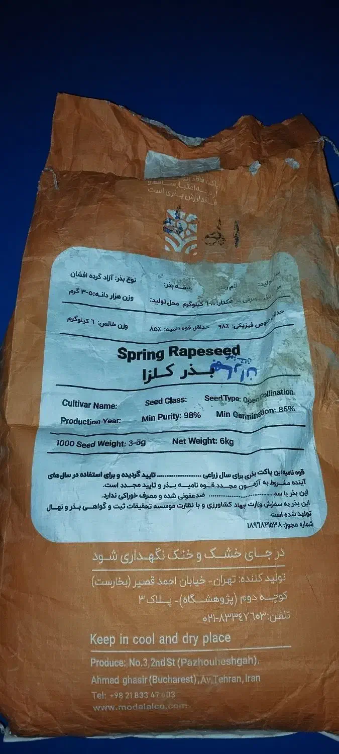 بذر کلزا|حراج|دره شهر, |دیوار