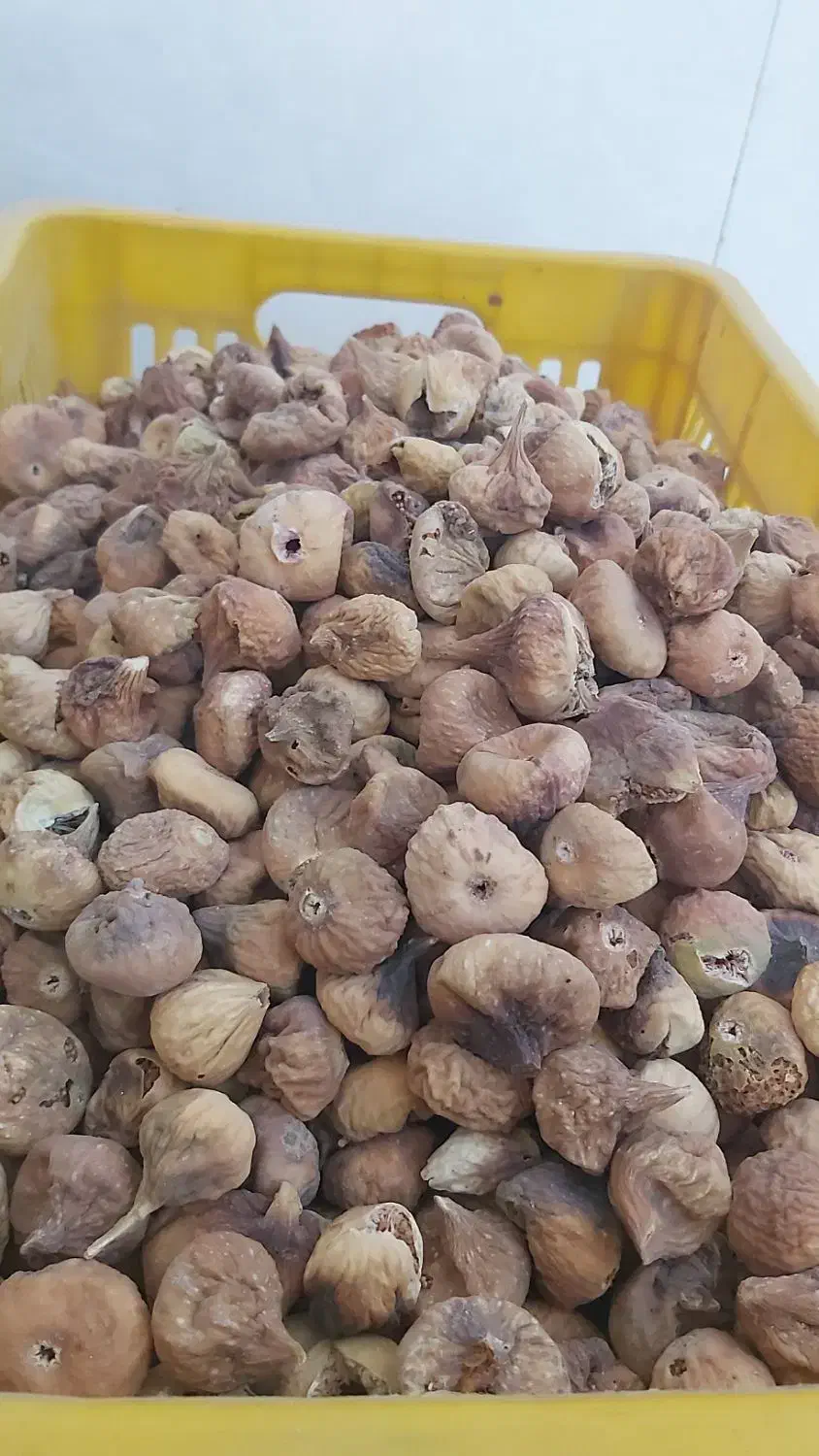 انجیر|خوردنی و آشامیدنی|شیراز, میانرود|دیوار