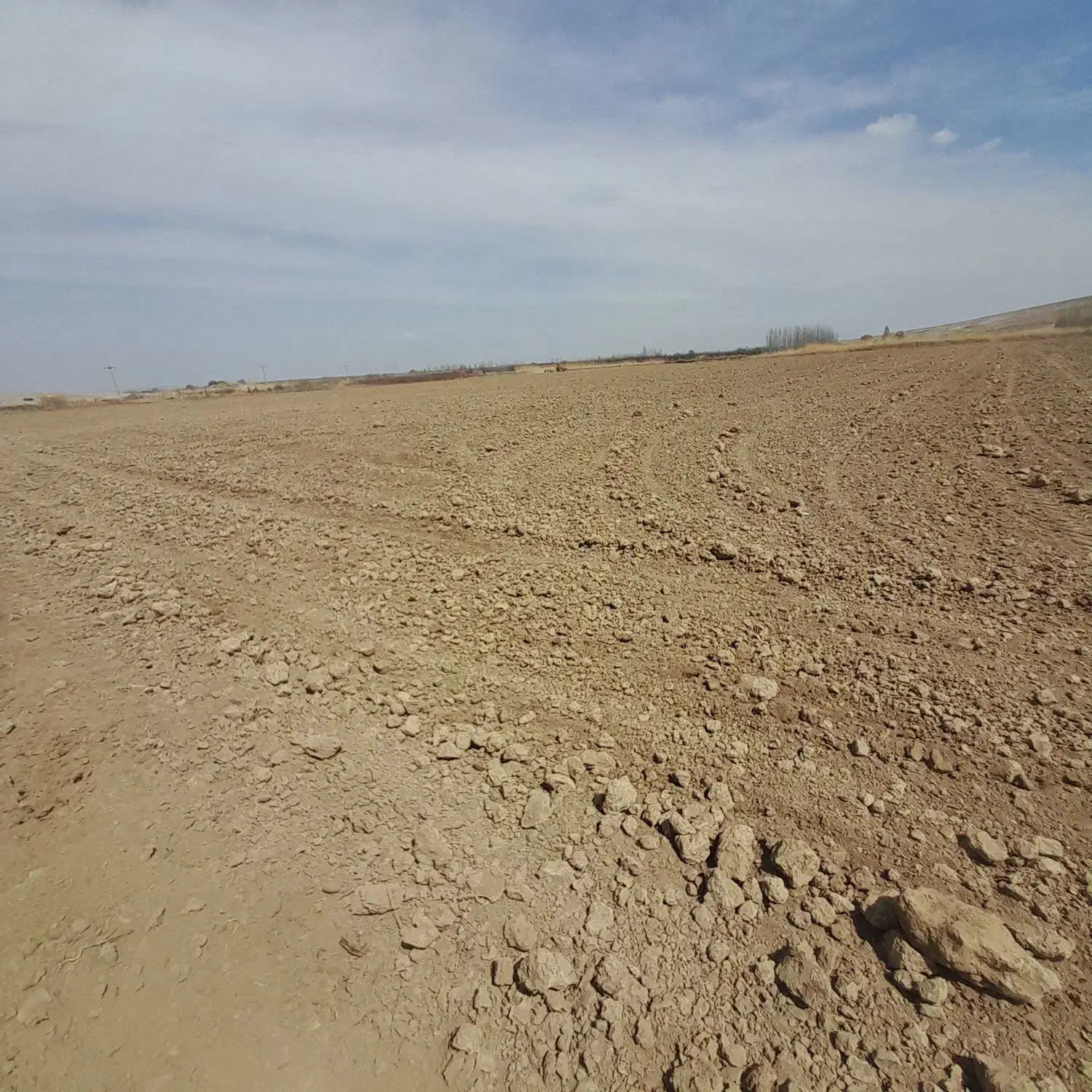 اجاره 9 هکتار زمین کشاورزی|اجارهٔ دفتر صنعتی، کشاورزی، تجاری|میاندوآب, |دیوار