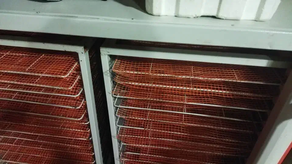 دستگاه میوه خشک کن بزرگ|سایر لوازم برقی|مراغه, |دیوار