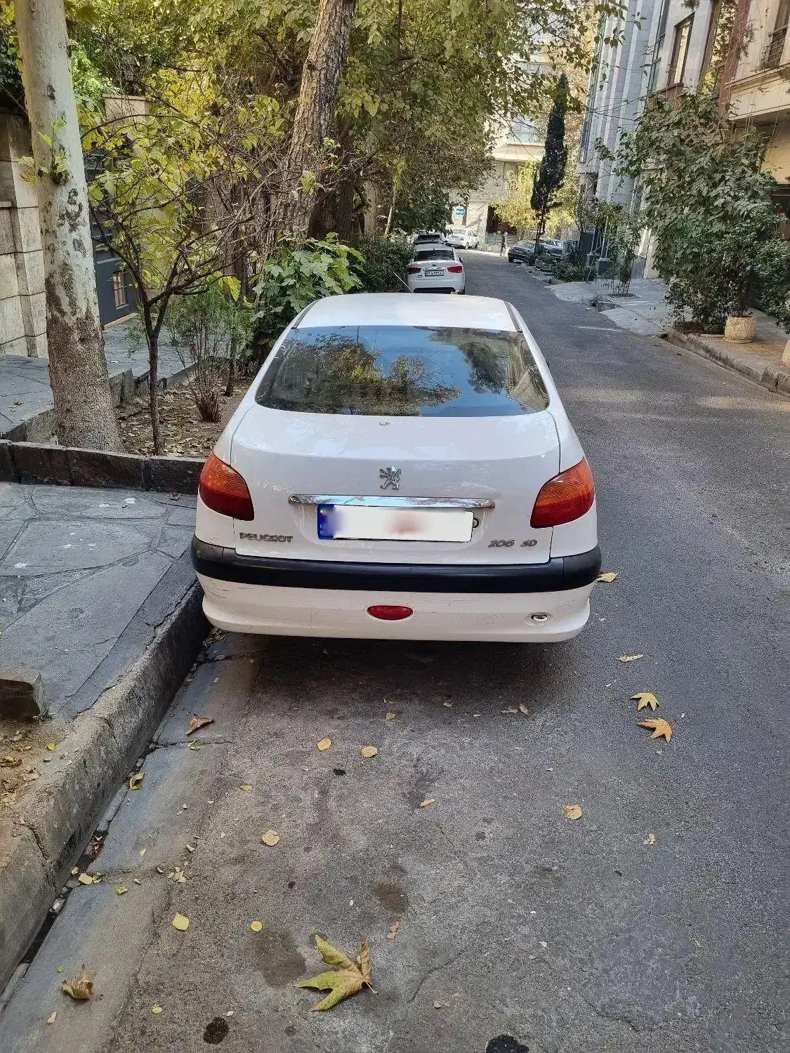 206 sd 89|خودرو سواری و وانت|تهران, اختیاریه|دیوار