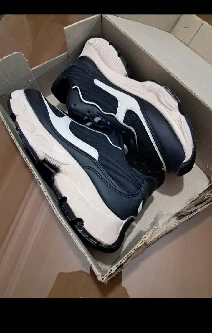 کفش نو|کیف، کفش، کمربند|اردبیل, |دیوار