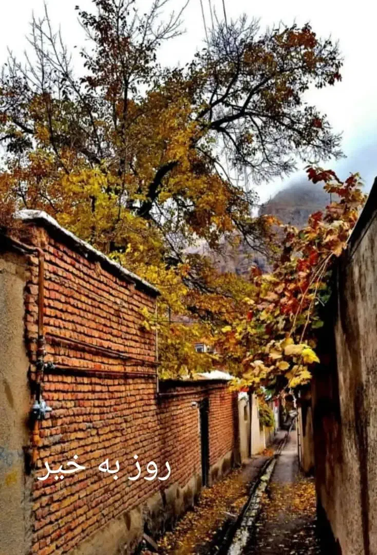 راهنمایی|فعالیت داوطلبانه|مشهد, ادیب نیشابوری (شهرک غرب)|دیوار