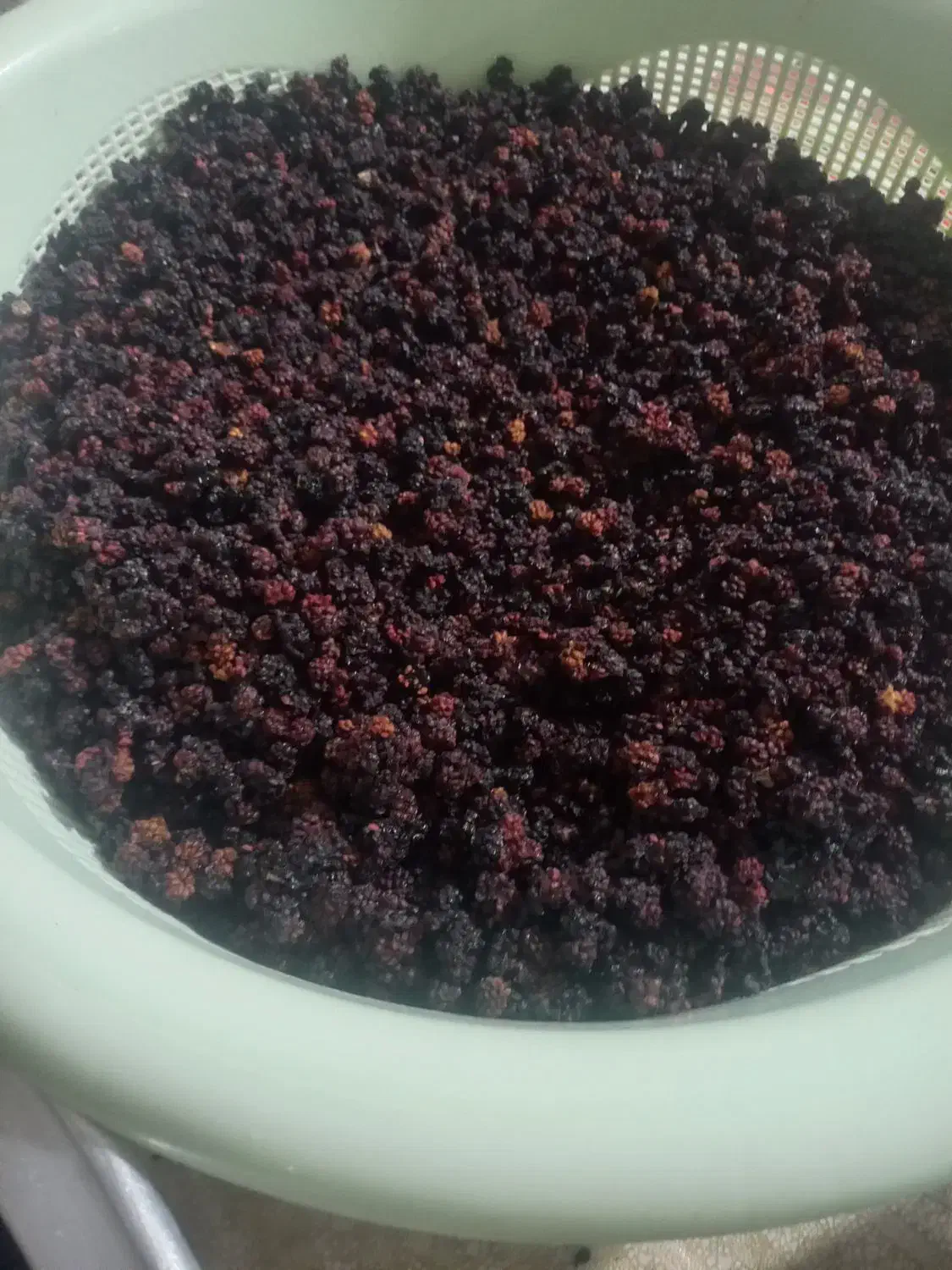 تَمِشک وحشی|خوردنی و آشامیدنی|ارژن, |دیوار