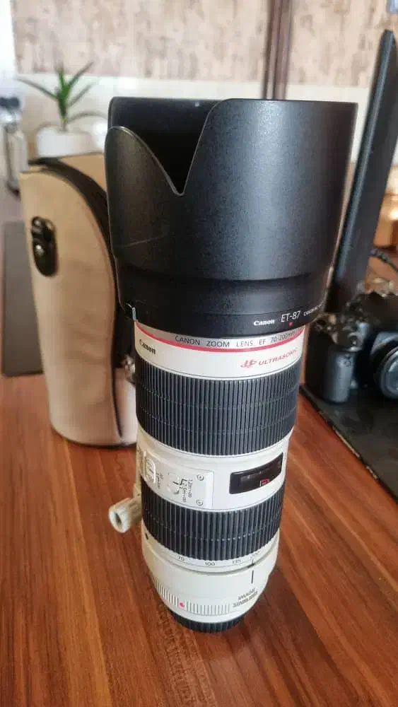 لنز canon|دوربین عکاسی و فیلم‌برداری|کرج, گلشهر|دیوار